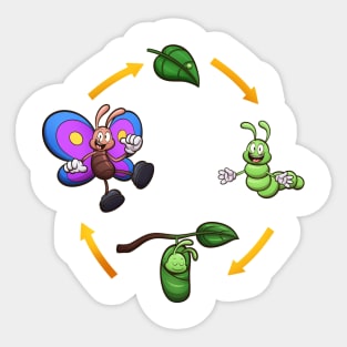 Cartoon Butterfly Life Cycle Sticker